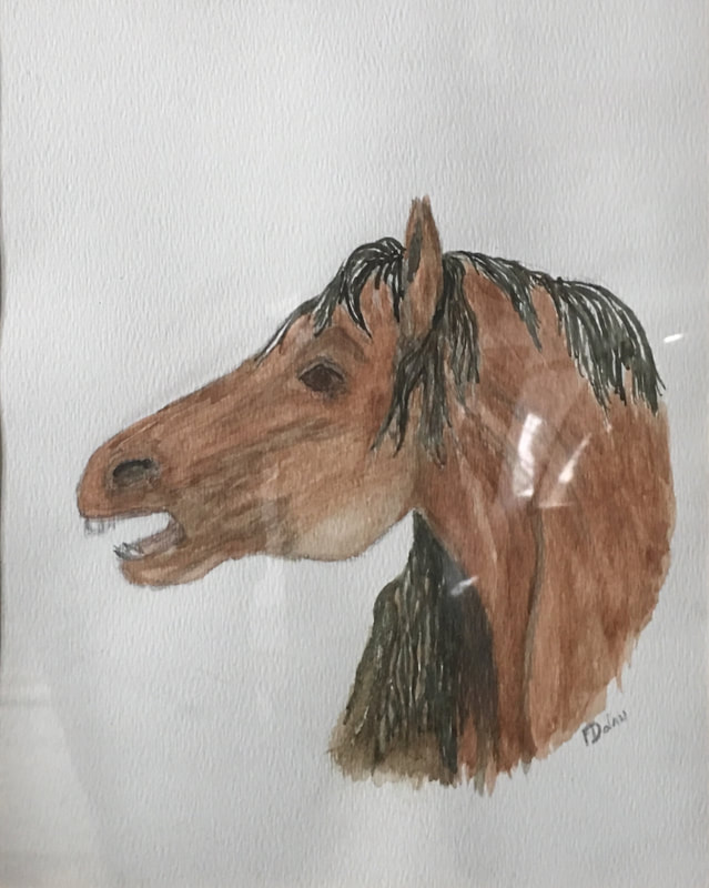 Watercolors_020
