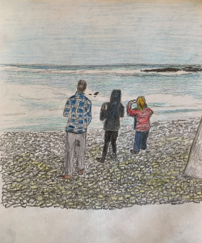 Watercolors_059